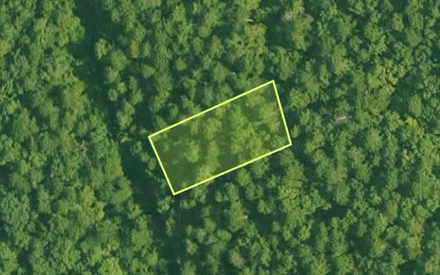 Aerial view of SALINE County parcel 648-00080-000 — Arkansas post-auction with approximate parcel outline