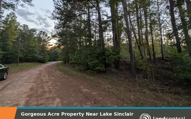 LandCentral listing preview for 1.18 acres in Hancock, GA — 12690