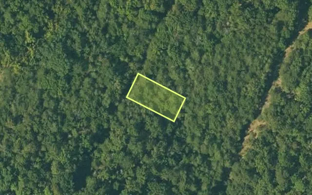 Aerial view of FULTON County parcel 105-10422-000 — Arkansas post-auction with approximate parcel outline