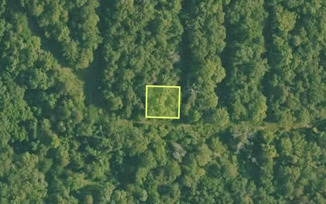 Aerial view of BAXTER County parcel 010-02343-000 — Arkansas post-auction with approximate parcel outline