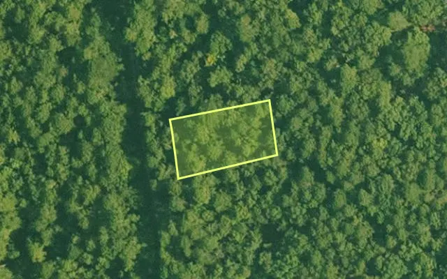 Aerial view of SALINE County parcel 496-00221-000 — Arkansas post-auction with approximate parcel outline