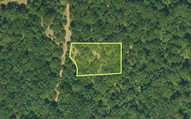 Aerial view of IZARD County parcel 800-12596-000 — Arkansas post-auction with approximate parcel outline