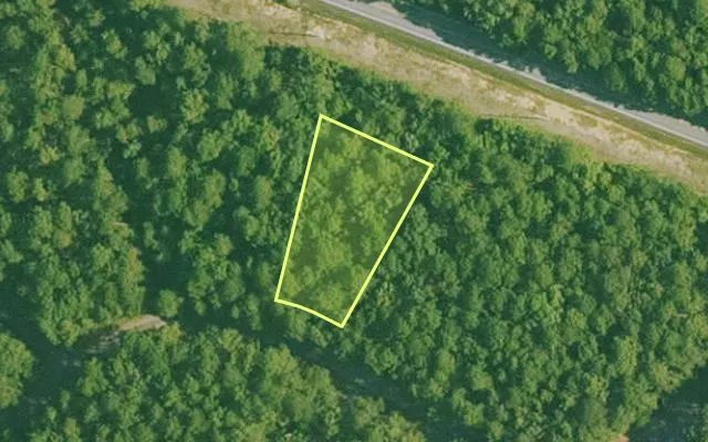 Aerial view of SALINE County parcel 580-00005-000 — Arkansas post-auction with approximate parcel outline