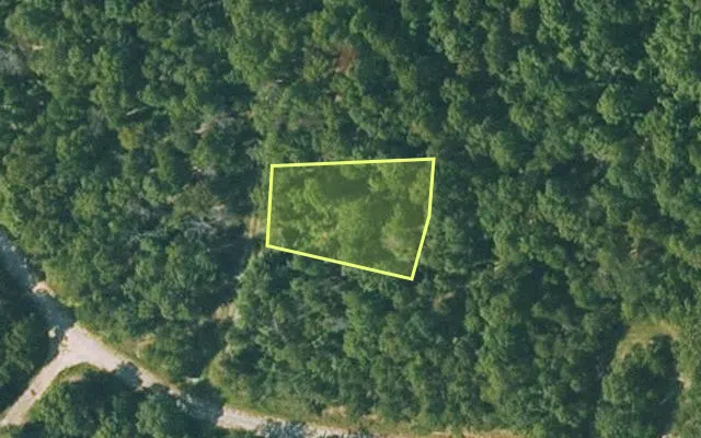 Aerial view of FULTON County parcel 365-20232-000 — Arkansas post-auction with approximate parcel outline