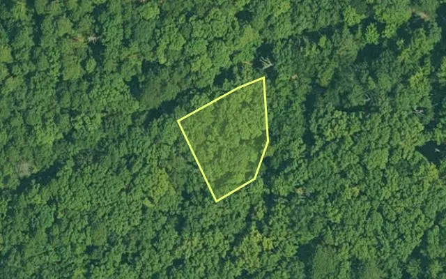 Aerial view of GARLAND County parcel 72755 — Arkansas post-auction with approximate parcel outline