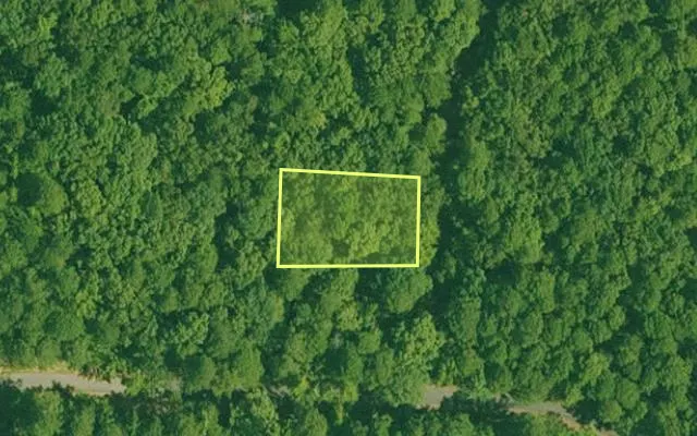 Aerial view of GARLAND County parcel 69998 — Arkansas post-auction with approximate parcel outline