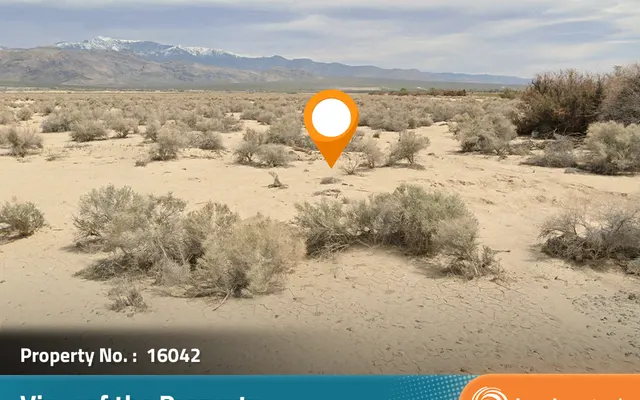 LandCentral listing preview for 0.25 acres in Nye, NV — 16042