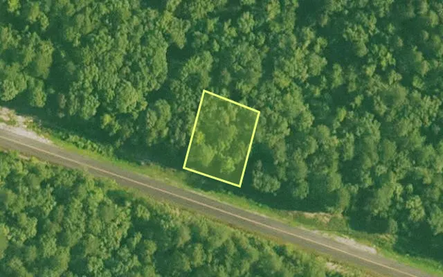 Aerial view of SALINE County parcel 492-00025-000 — Arkansas post-auction with approximate parcel outline