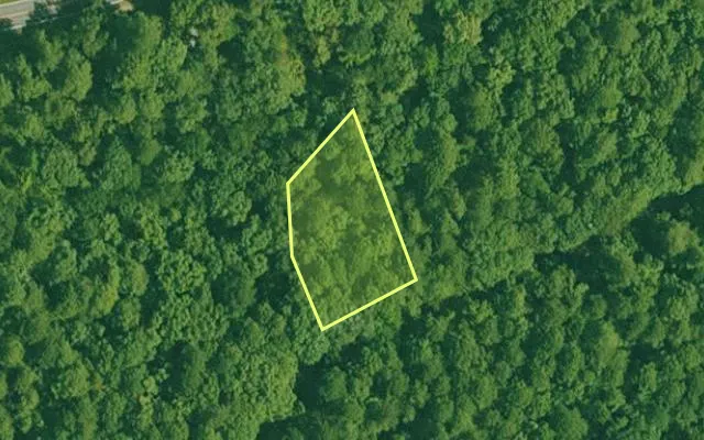 Aerial view of GARLAND County parcel 67115 — Arkansas post-auction with approximate parcel outline