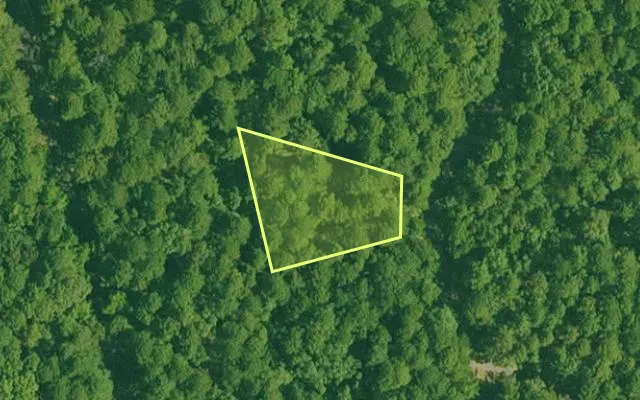 Aerial view of GARLAND County parcel 71121 — Arkansas post-auction with approximate parcel outline