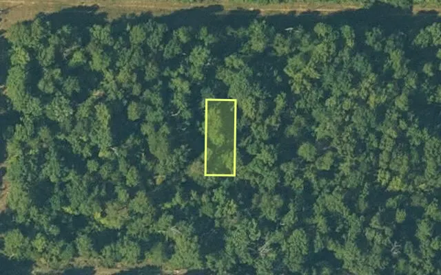 Aerial view of FULTON County parcel 686-25280-000 — Arkansas post-auction with approximate parcel outline