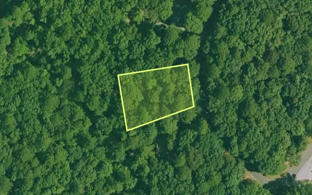 Aerial view of GARLAND County parcel 60445 — Arkansas post-auction with approximate parcel outline