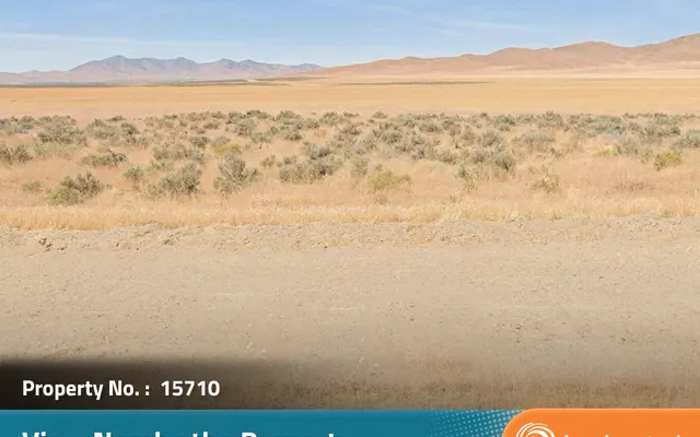 LandCentral listing preview for 40 acres in Humboldt, NV — 15710