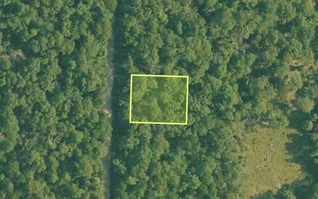 Aerial view of BAXTER County parcel 010-02590-456 — Arkansas post-auction with approximate parcel outline