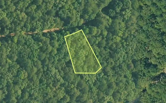Aerial view of VAN BUREN County parcel 4300-01049-0000 — Arkansas post-auction with approximate parcel outline