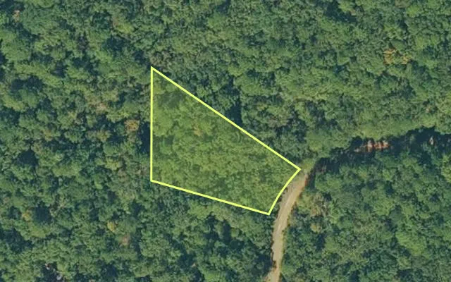 Aerial view of CLEBURNE County parcel 600-04570-000 — Arkansas post-auction with approximate parcel outline