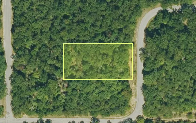 Aerial view of IZARD County parcel 800-14100-000 — Arkansas post-auction with approximate parcel outline