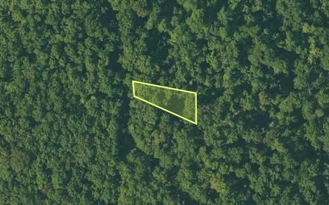 Aerial view of FULTON County parcel 105-10131-000 — Arkansas post-auction with approximate parcel outline