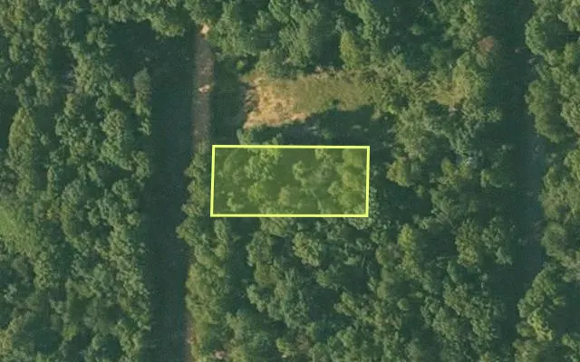 Aerial view of SHARP County parcel 346-00044-000 — Arkansas post-auction with approximate parcel outline