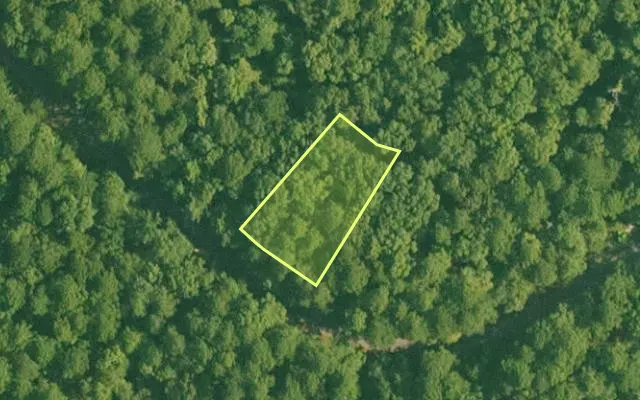 Aerial view of SALINE County parcel 516-00101-000 — Arkansas post-auction with approximate parcel outline