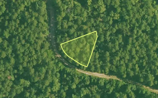 Aerial view of SALINE County parcel 448-00017-000 — Arkansas post-auction with approximate parcel outline