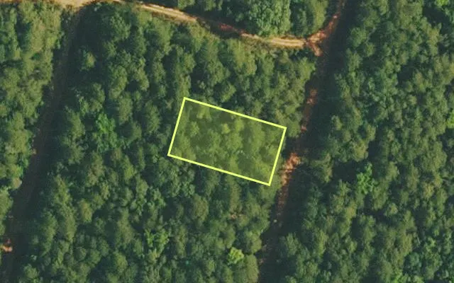 Aerial view of VAN BUREN County parcel 4200-02390-0000 — Arkansas post-auction with approximate parcel outline
