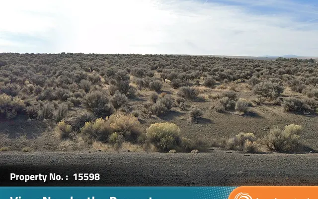 LandCentral listing preview for 20 acres in Lake, OR — 15598