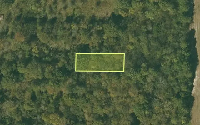 Aerial view of CHICOT County parcel 050-02400-000 — Arkansas post-auction with approximate parcel outline
