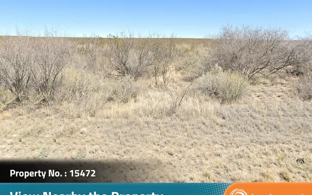 LandCentral listing preview for 10.32 acres in Hudspeth, TX — 15472