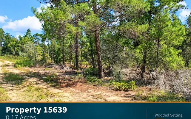 LandCentral listing preview for 0.17 acres in Putnam, FL — 15639
