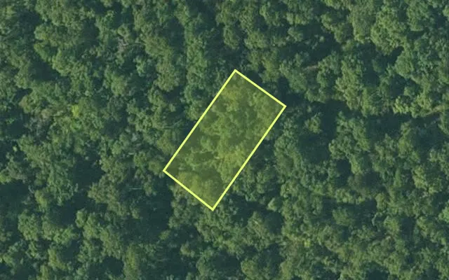 Aerial view of FULTON County parcel 165-12668-000 — Arkansas post-auction with approximate parcel outline