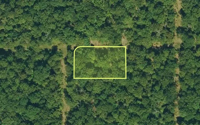 Aerial view of IZARD County parcel 800-10052-000 — Arkansas post-auction with approximate parcel outline