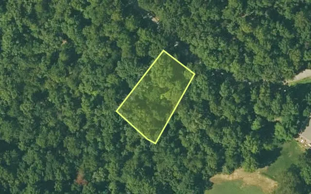 Aerial view of FULTON County parcel 350-19550-000 — Arkansas post-auction with approximate parcel outline