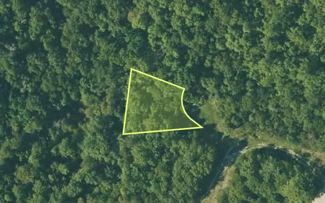 Aerial view of FULTON County parcel 290-17254-000 — Arkansas post-auction with approximate parcel outline
