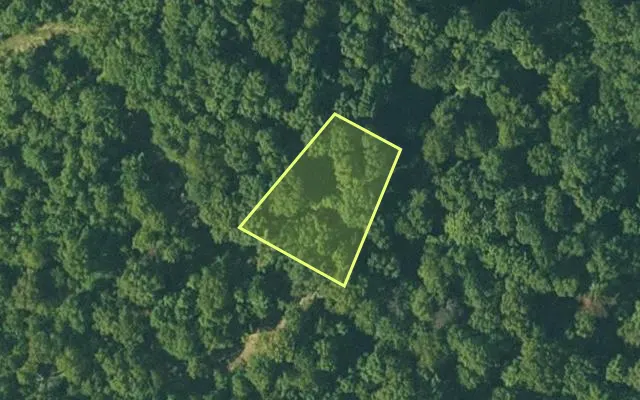 Aerial view of FULTON County parcel 180-13119-000 — Arkansas post-auction with approximate parcel outline