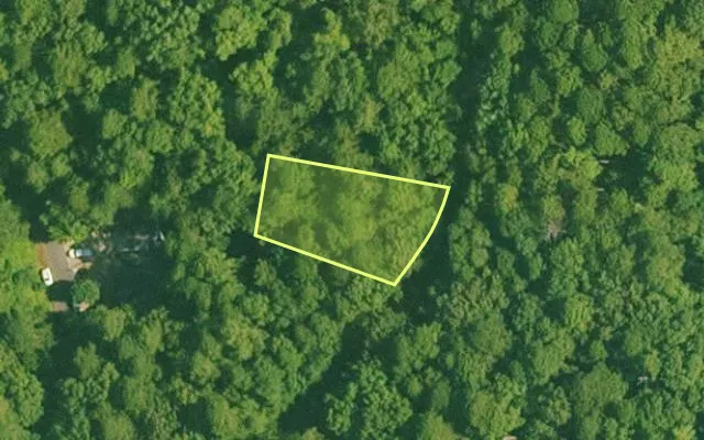 Aerial view of SALINE County parcel 456-00194-000 — Arkansas post-auction with approximate parcel outline