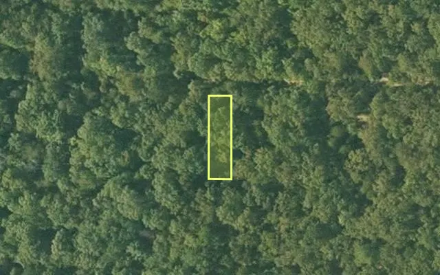 Aerial view of SHARP County parcel 400-00357-000 — Arkansas post-auction with approximate parcel outline