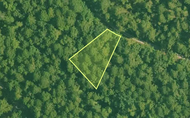 Aerial view of SALINE County parcel 496-00017-000 — Arkansas post-auction with approximate parcel outline
