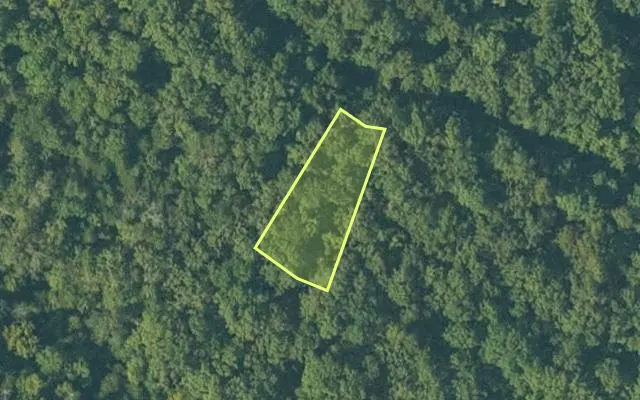 Aerial view of SHARP County parcel 760-53899-249 — Arkansas post-auction with approximate parcel outline