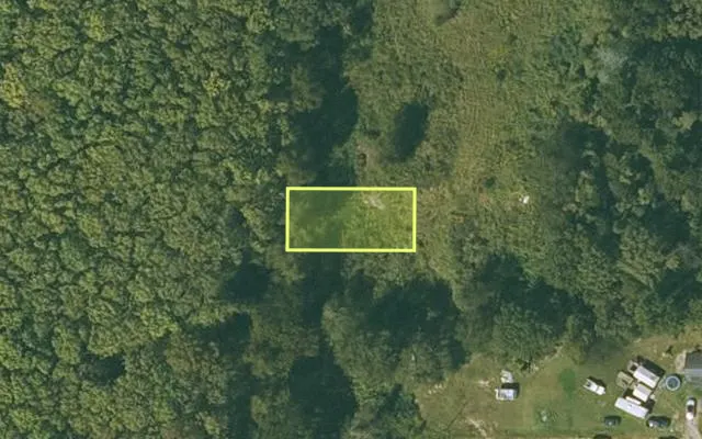 Aerial view of CHICOT County parcel 050-03961-000 — Arkansas post-auction with approximate parcel outline