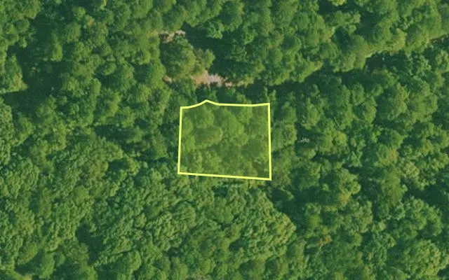 Aerial view of SALINE County parcel 440-00089-000 — Arkansas post-auction with approximate parcel outline