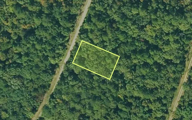 Aerial view of VAN BUREN County parcel 4550-02080-0000 — Arkansas post-auction with approximate parcel outline