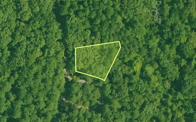 Aerial view of GARLAND County parcel 69891 — Arkansas post-auction with approximate parcel outline