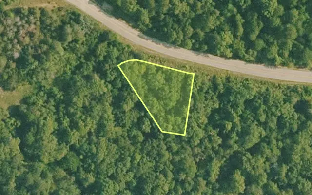 Aerial view of BAXTER County parcel 010-01608-050 — Arkansas post-auction with approximate parcel outline