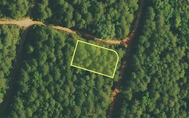 Aerial view of VAN BUREN County parcel 4200-02389-0000 — Arkansas post-auction with approximate parcel outline