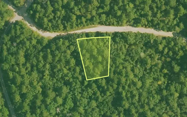 Aerial view of SALINE County parcel 500-00060-000 — Arkansas post-auction with approximate parcel outline