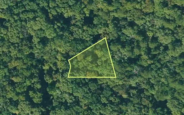 Aerial view of VAN BUREN County parcel 4550-02061-0000 — Arkansas post-auction with approximate parcel outline