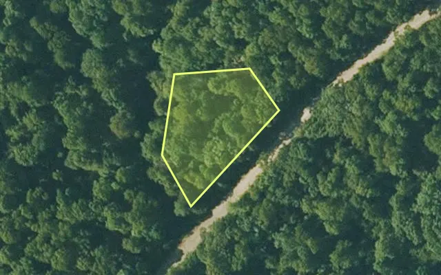 Aerial view of FULTON County parcel 410-21654-000 — Arkansas post-auction with approximate parcel outline