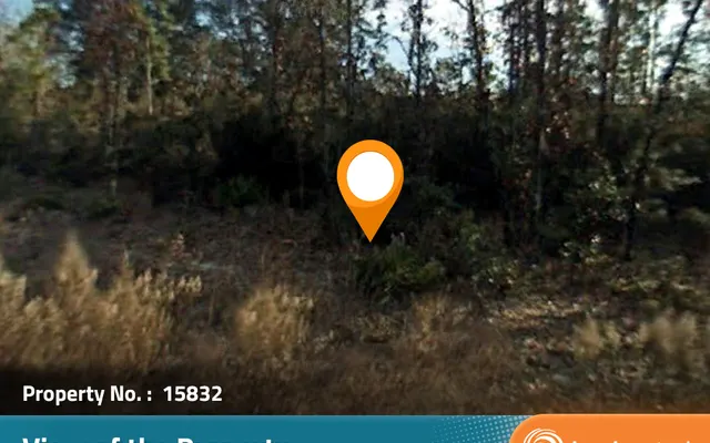 LandCentral listing preview for 0.24 acres in Levy, FL — 15832