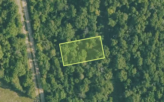 Aerial view of BAXTER County parcel 010-01695-000 — Arkansas post-auction with approximate parcel outline